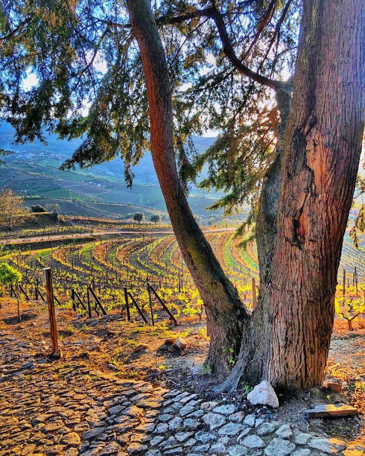 Séjour à la ferme Quinta Da Salada -