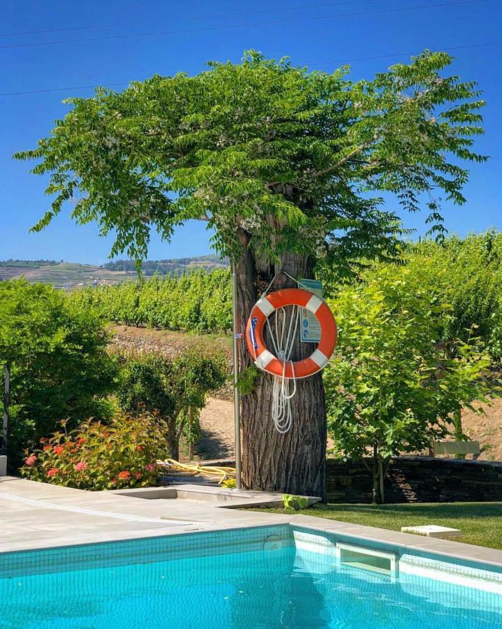 Quinta Da Salada - Séjour à la ferme Lamego